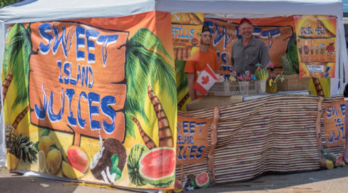 Afro-Caribbean-Festival-2016-08-20-13-58-45