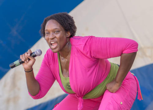 Afro-Caribbean-Festival-2016-08-20-14-13-16