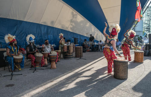 Afro-Caribbean-Festival-2016-08-20-18-11-34