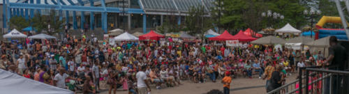 Afro-Caribbean-Festival-2016-08-20-19-44-521