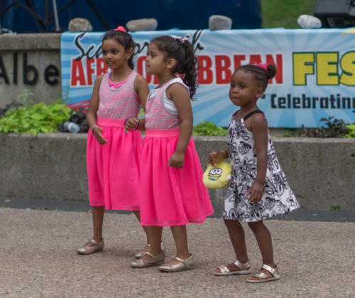 Afro-Caribbean-Festival-2016-08-20-19-51-32