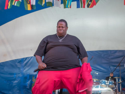 Afro-Caribbean-Festival-2016-08-21-20-27-55