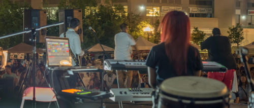 Afro-Caribbean-Festival-2016-08-21-20-55-24