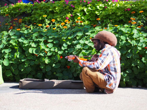Afro Caribbean Festival 2013-08-24 16-48-02