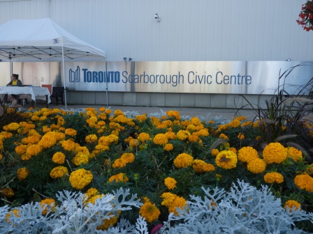 Afro Caribbean Festival 2014-08-24 12-35-12