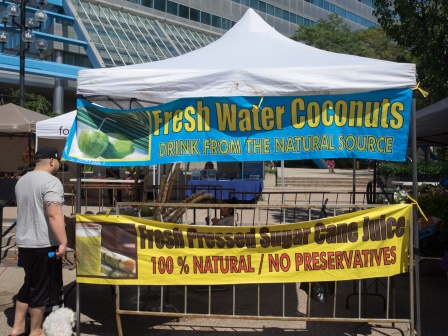 Afro Caribbean Festival 2014-08-24 13-07-17