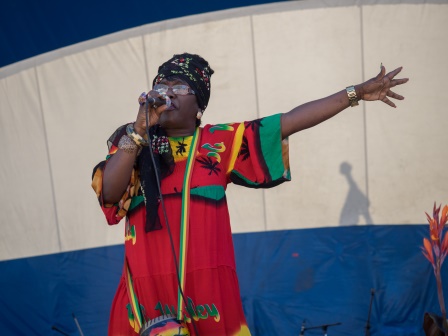 Afro Caribbean Festival 2014-08-24 13-43-05